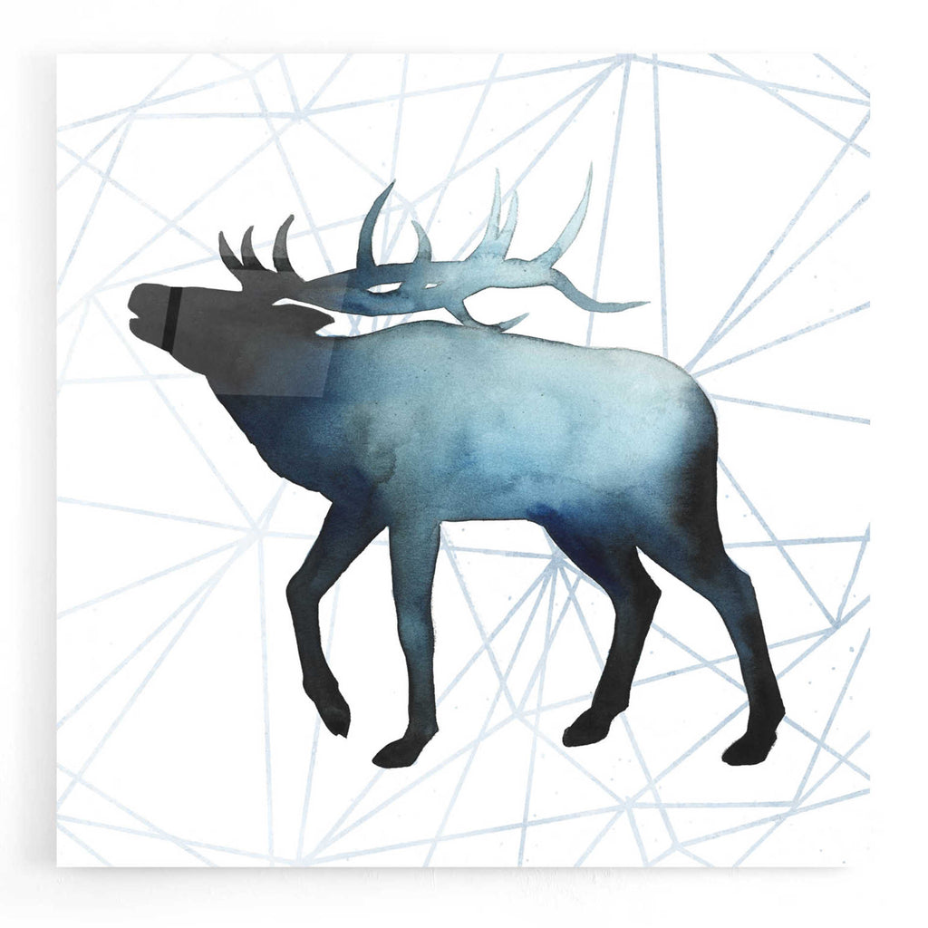 Epic Art 'Animal Silhouettes VI' by Grace Popp, Acrylic Glass Wall Art