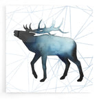 Epic Art 'Animal Silhouettes VI' by Grace Popp, Acrylic Glass Wall Art