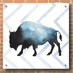 Epic Art 'Animal Silhouettes IV' by Grace Popp, Acrylic Glass Wall Art,36x36