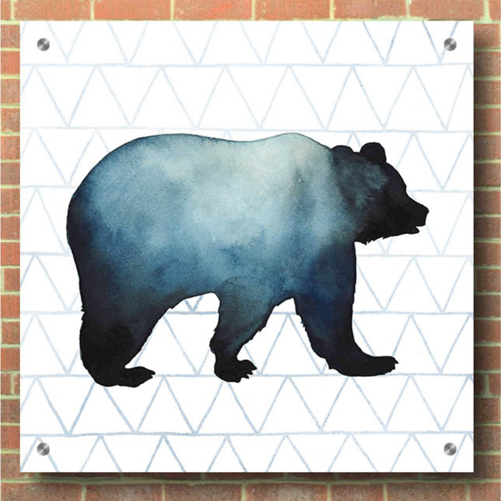 Epic Art 'Animal Silhouettes I' by Grace Popp, Acrylic Glass Wall Art,36x36