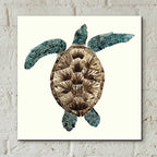 Epic Art 'Mosaic Turtle II' by Grace Popp, Acrylic Glass Wall Art,12x12