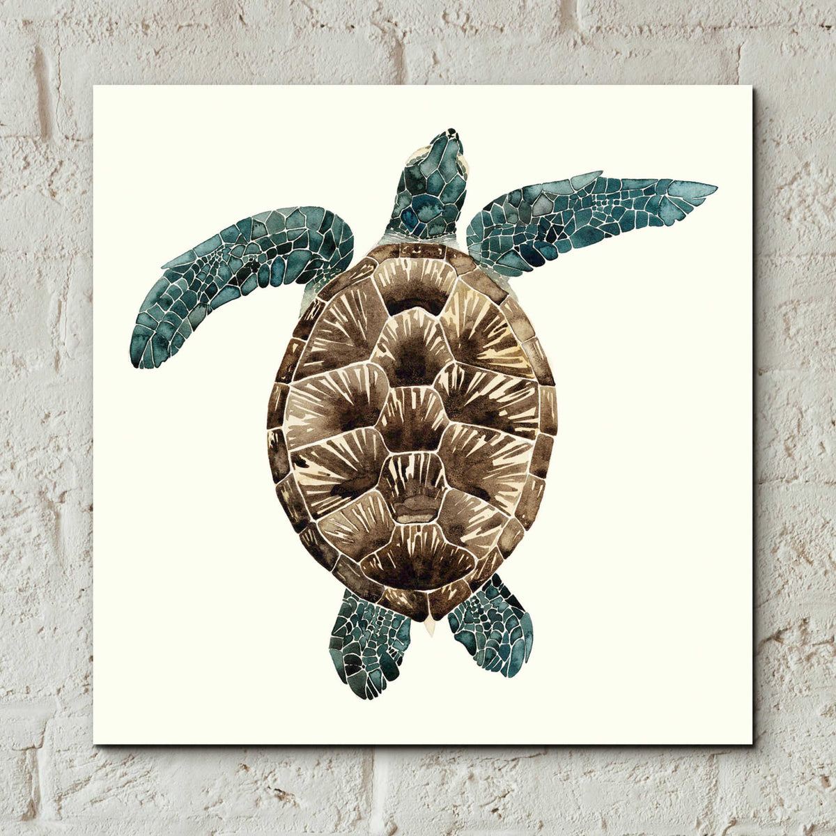 Epic Art 'Mosaic Turtle II' by Grace Popp, Acrylic Glass Wall Art,12x12