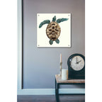 Epic Art 'Mosaic Turtle II' by Grace Popp, Acrylic Glass Wall Art,24x24