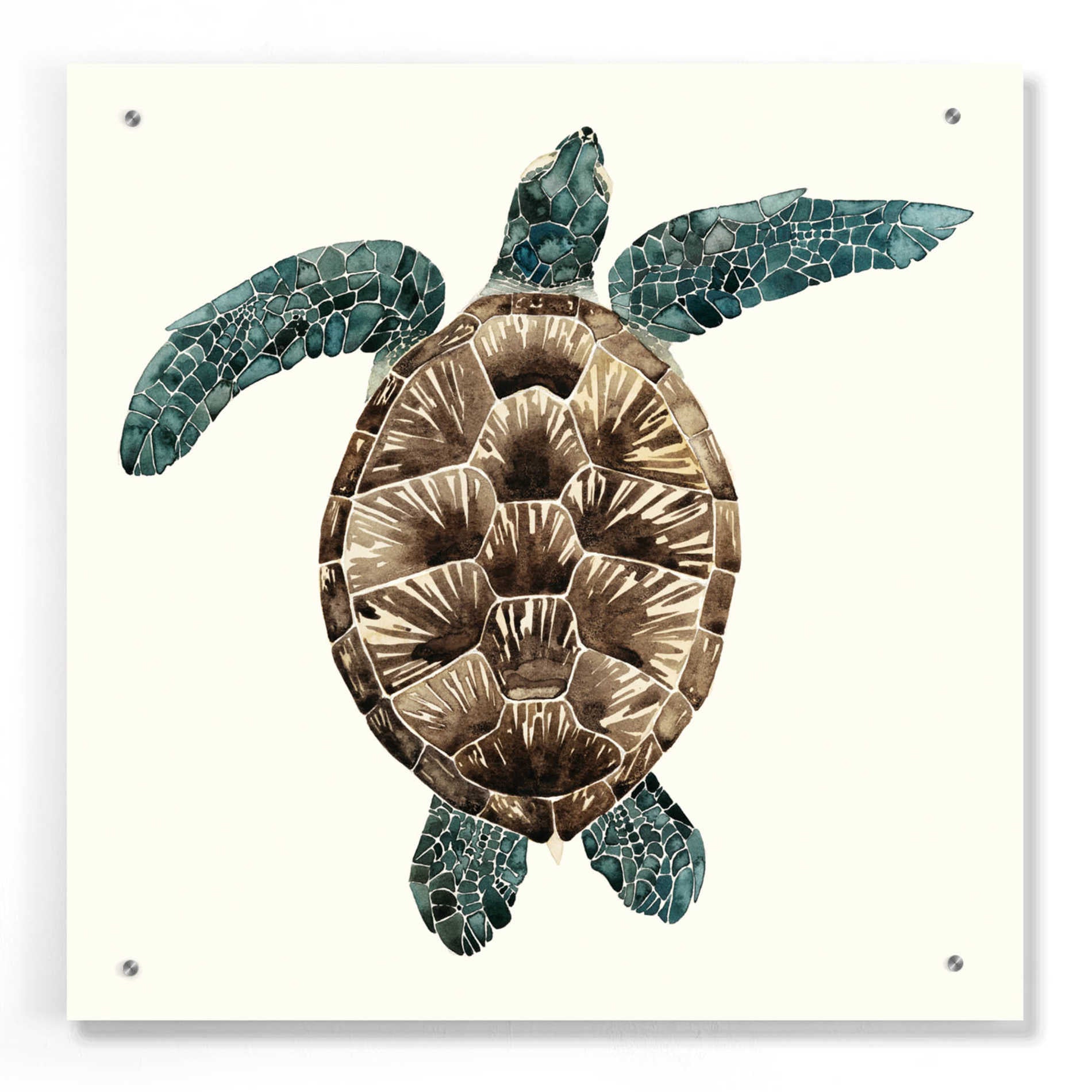 Epic Art 'Mosaic Turtle II' by Grace Popp, Acrylic Glass Wall Art,24x24