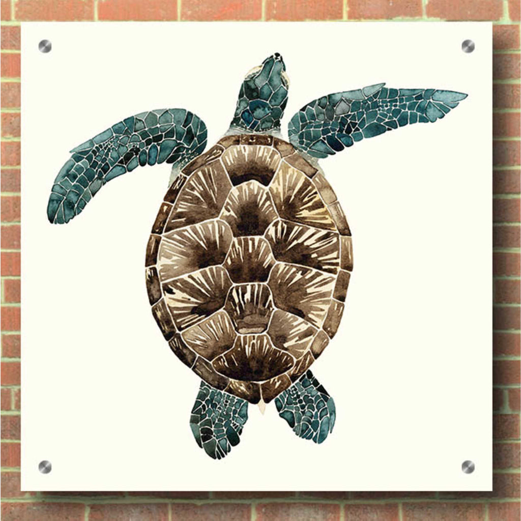 Epic Art 'Mosaic Turtle II' by Grace Popp, Acrylic Glass Wall Art,36x36