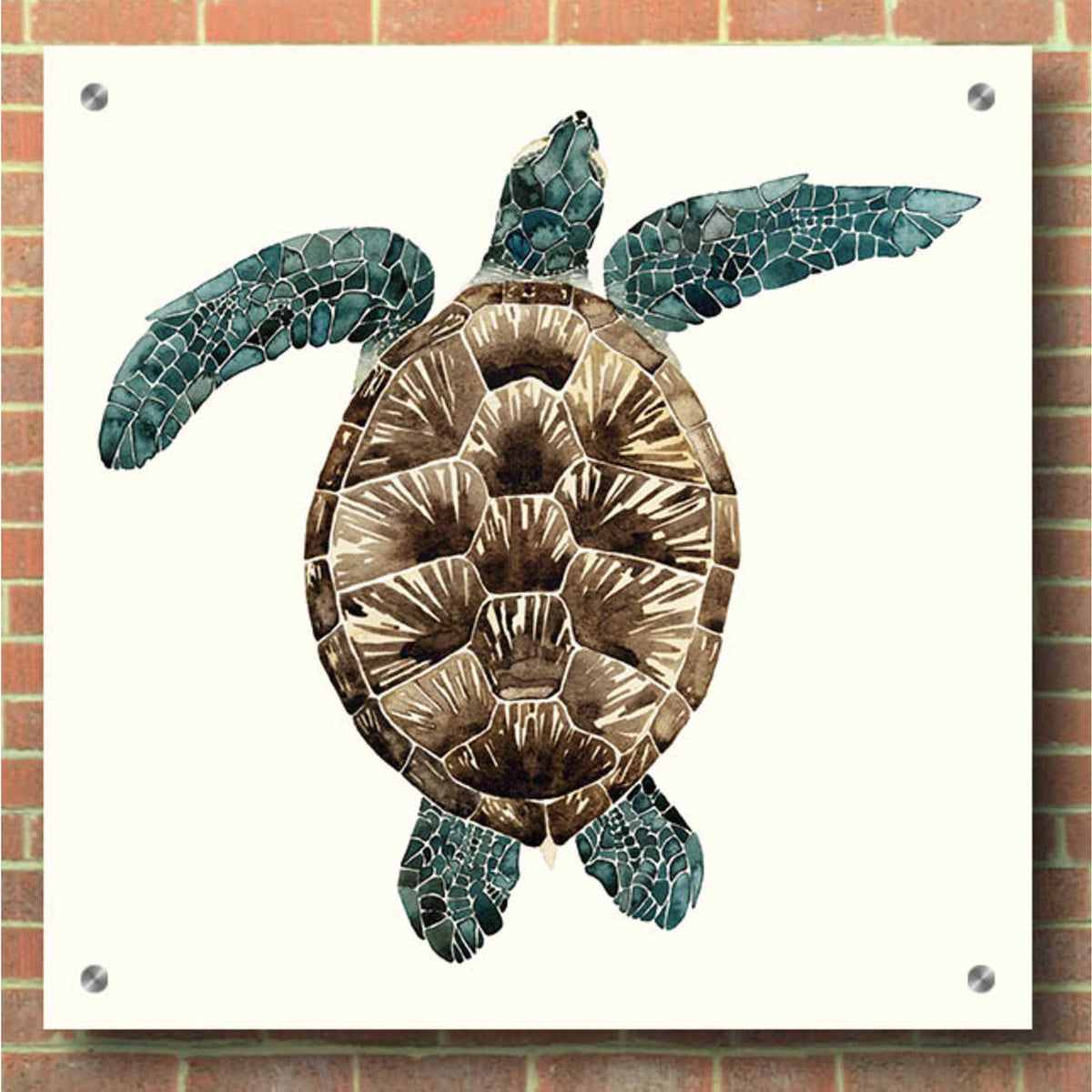 Epic Art 'Mosaic Turtle II' by Grace Popp, Acrylic Glass Wall Art,36x36