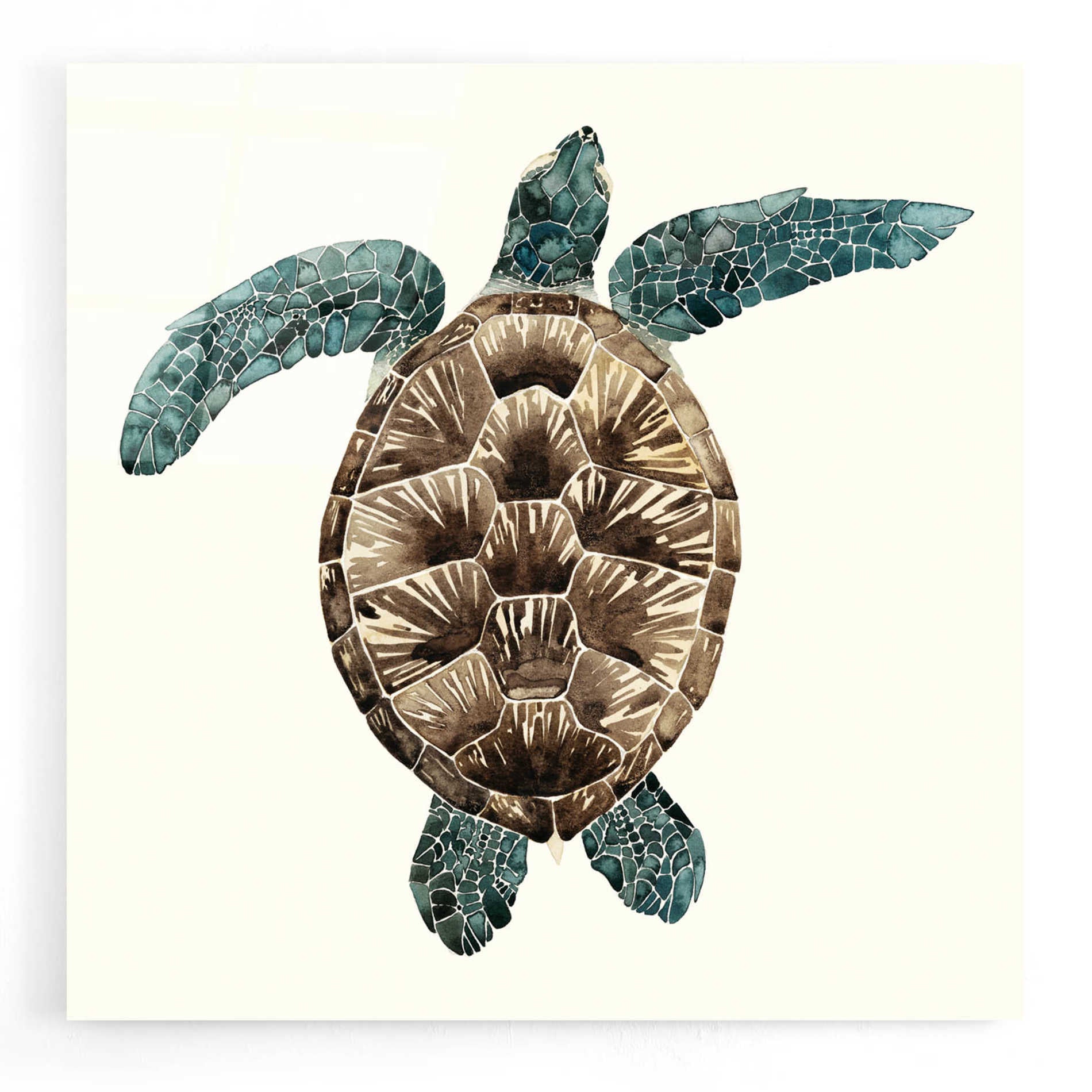 Epic Art 'Mosaic Turtle II' by Grace Popp, Acrylic Glass Wall Art