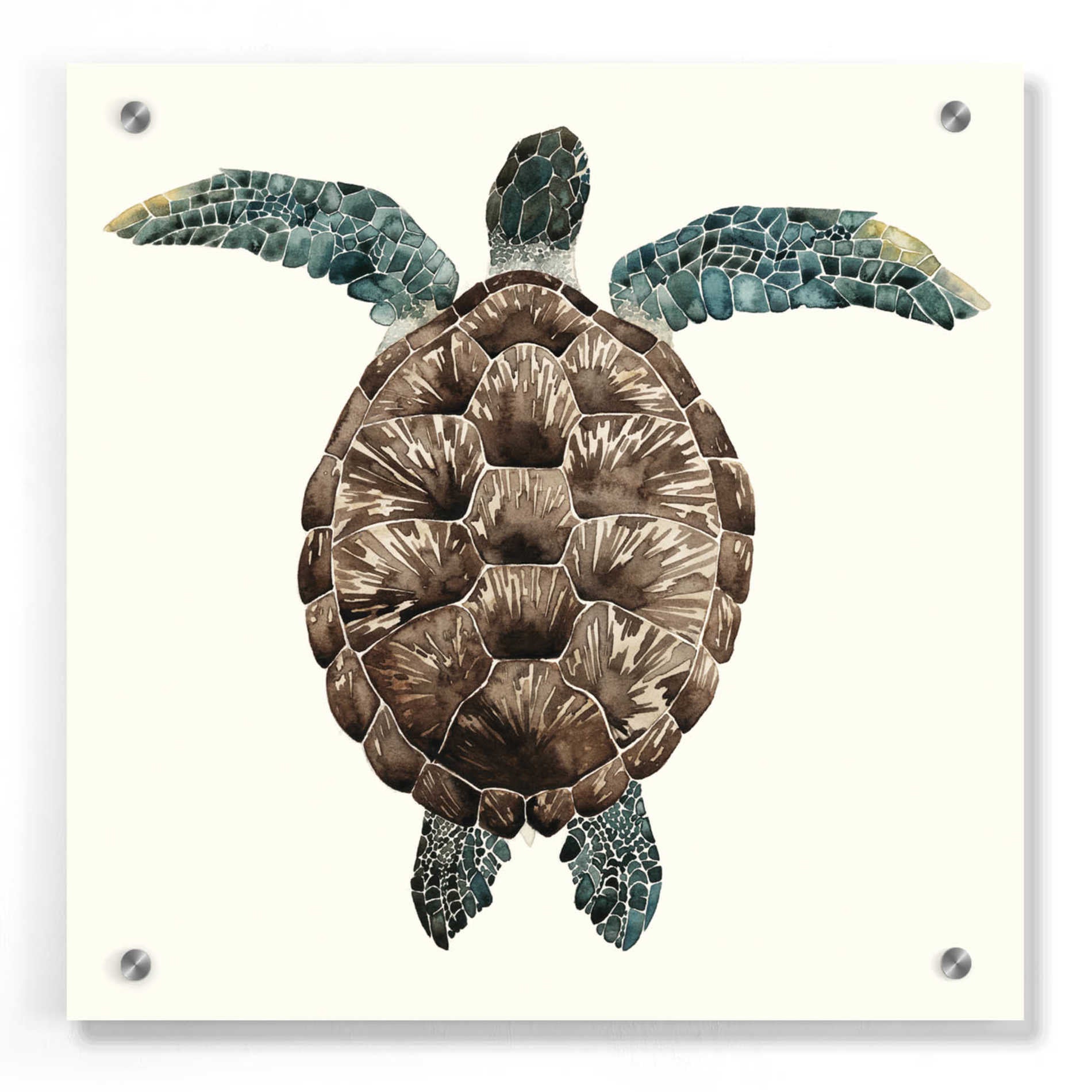 Epic Art 'Mosaic Turtle I' by Grace Popp, Acrylic Glass Wall Art,36x36