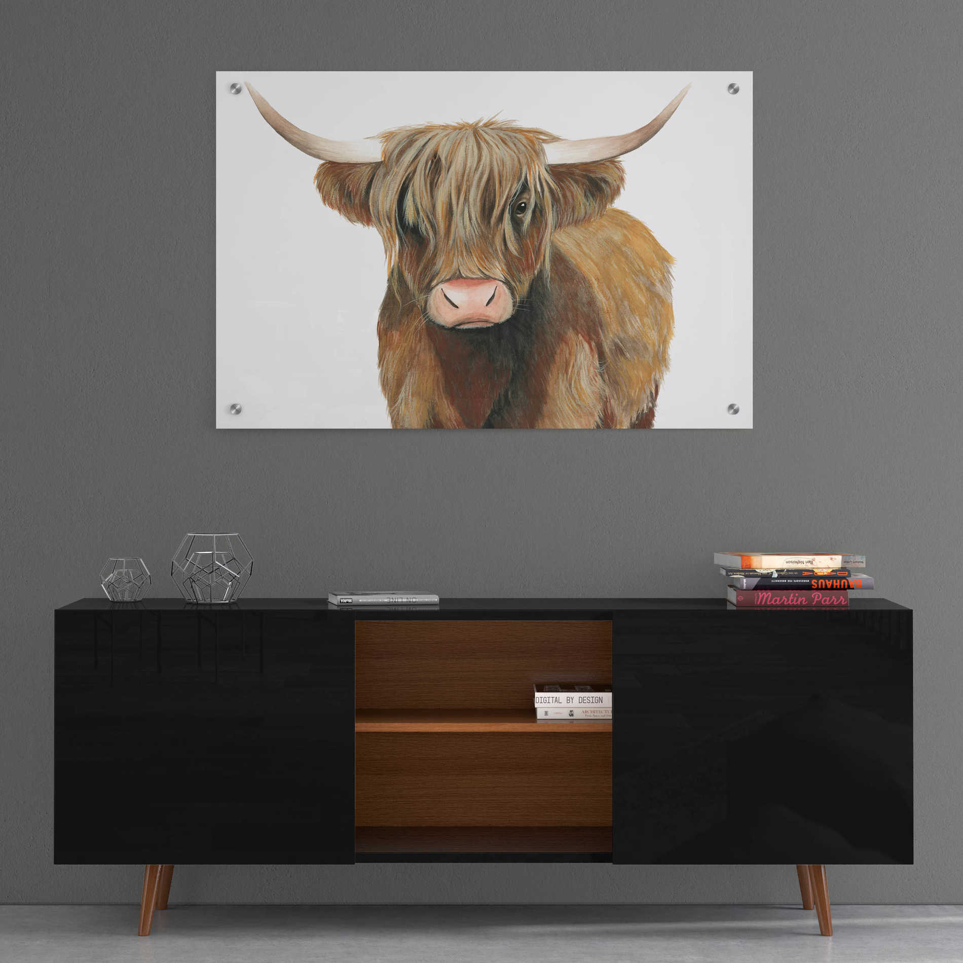 Epic Art 'Highland Cattle II' by Grace Popp, Acrylic Glass Wall Art,36x24