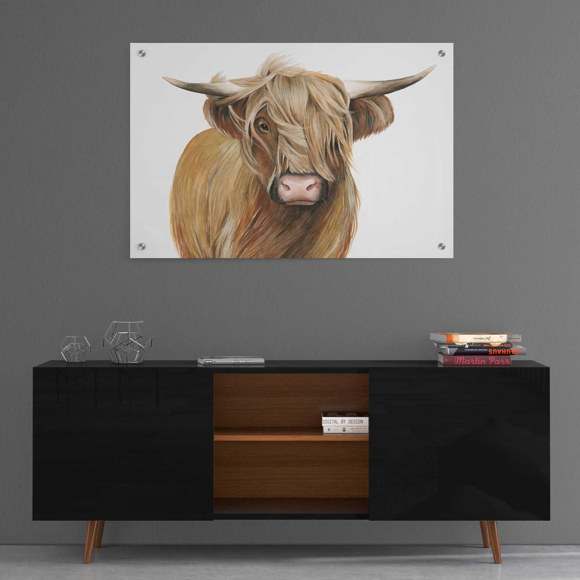 Epic Art 'Highland Cattle I' by Grace Popp, Acrylic Glass Wall Art,36x24