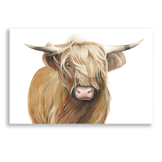 Epic Art 'Highland Cattle I' by Grace Popp, Acrylic Glass Wall Art