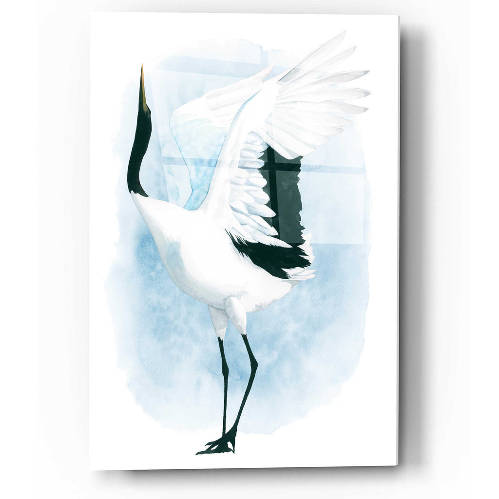 Epic Art 'Dancing Crane I' by Grace Popp, Acrylic Glass Wall Art