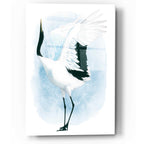 Epic Art 'Dancing Crane I' by Grace Popp, Acrylic Glass Wall Art