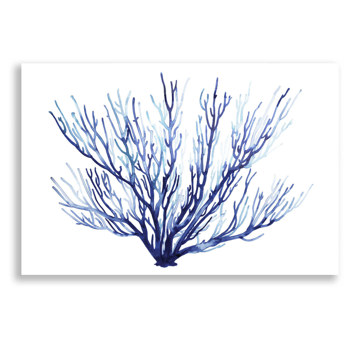 Epic Art 'Azure Fan II' by Grace Popp, Acrylic Glass Wall Art