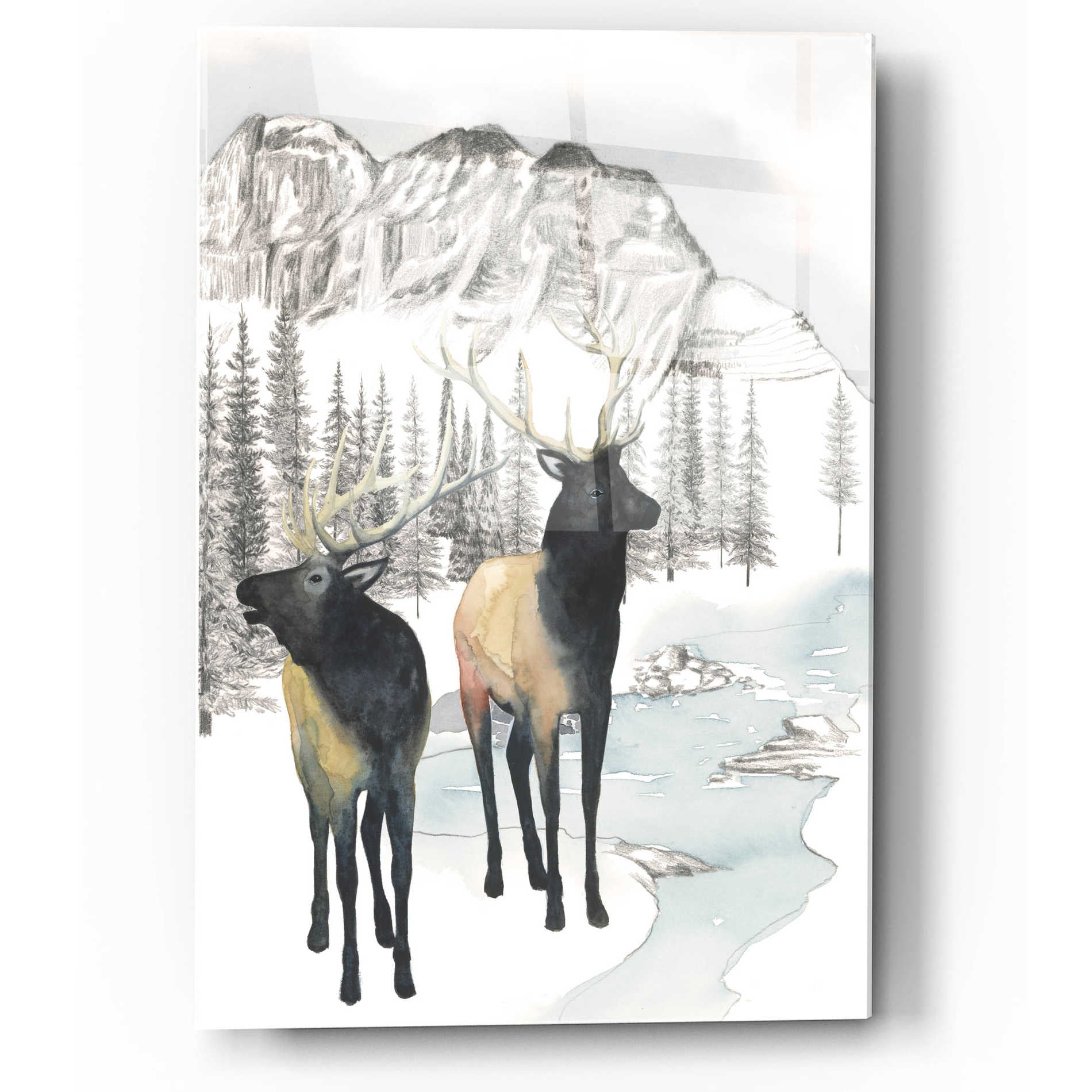 Epic Art 'Winter Elk II' by Grace Popp, Acrylic Glass Wall Art,12x16