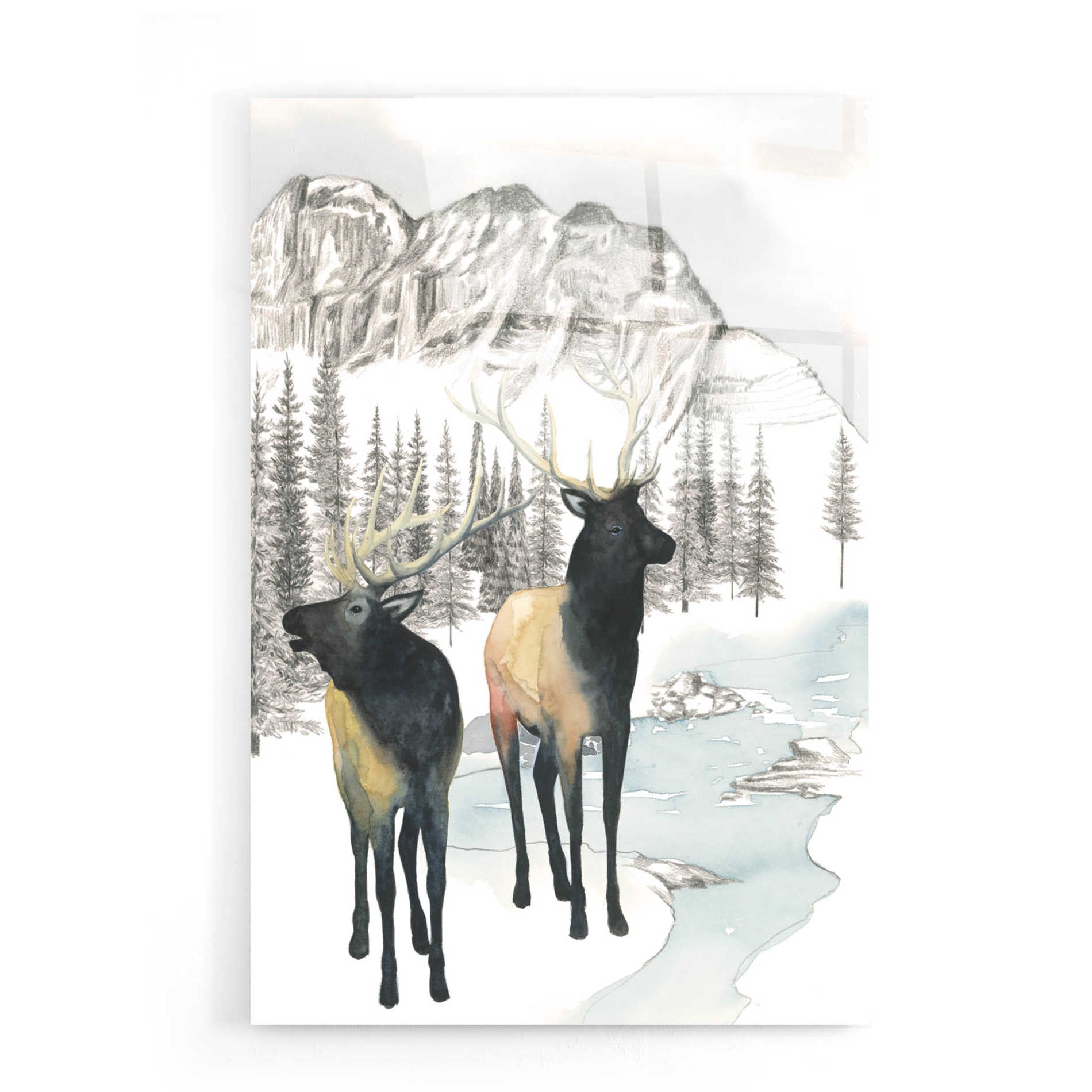 Epic Art 'Winter Elk II' by Grace Popp, Acrylic Glass Wall Art,16x24