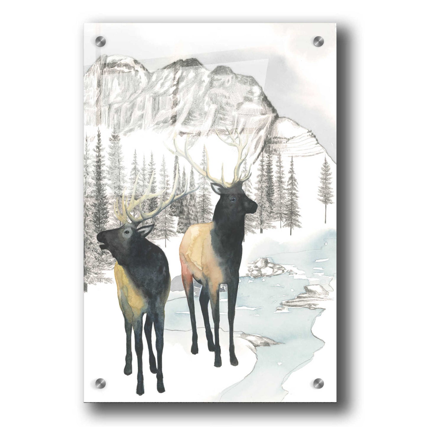 Epic Art 'Winter Elk II' by Grace Popp, Acrylic Glass Wall Art,24x36