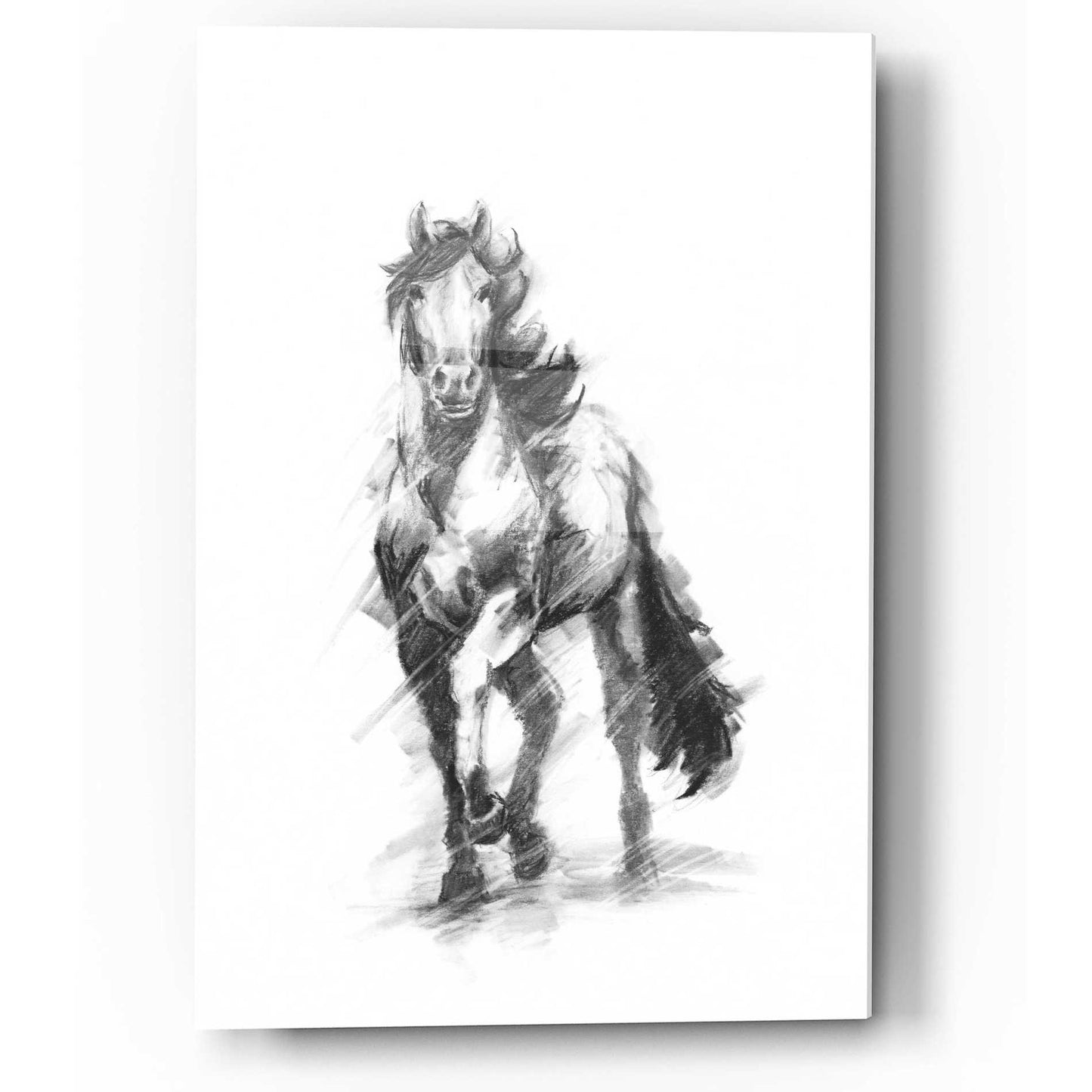 Epic Art 'Dynamic Equestrian I' by Ethan Harper, Acrylic Glass Wall Art,12x16