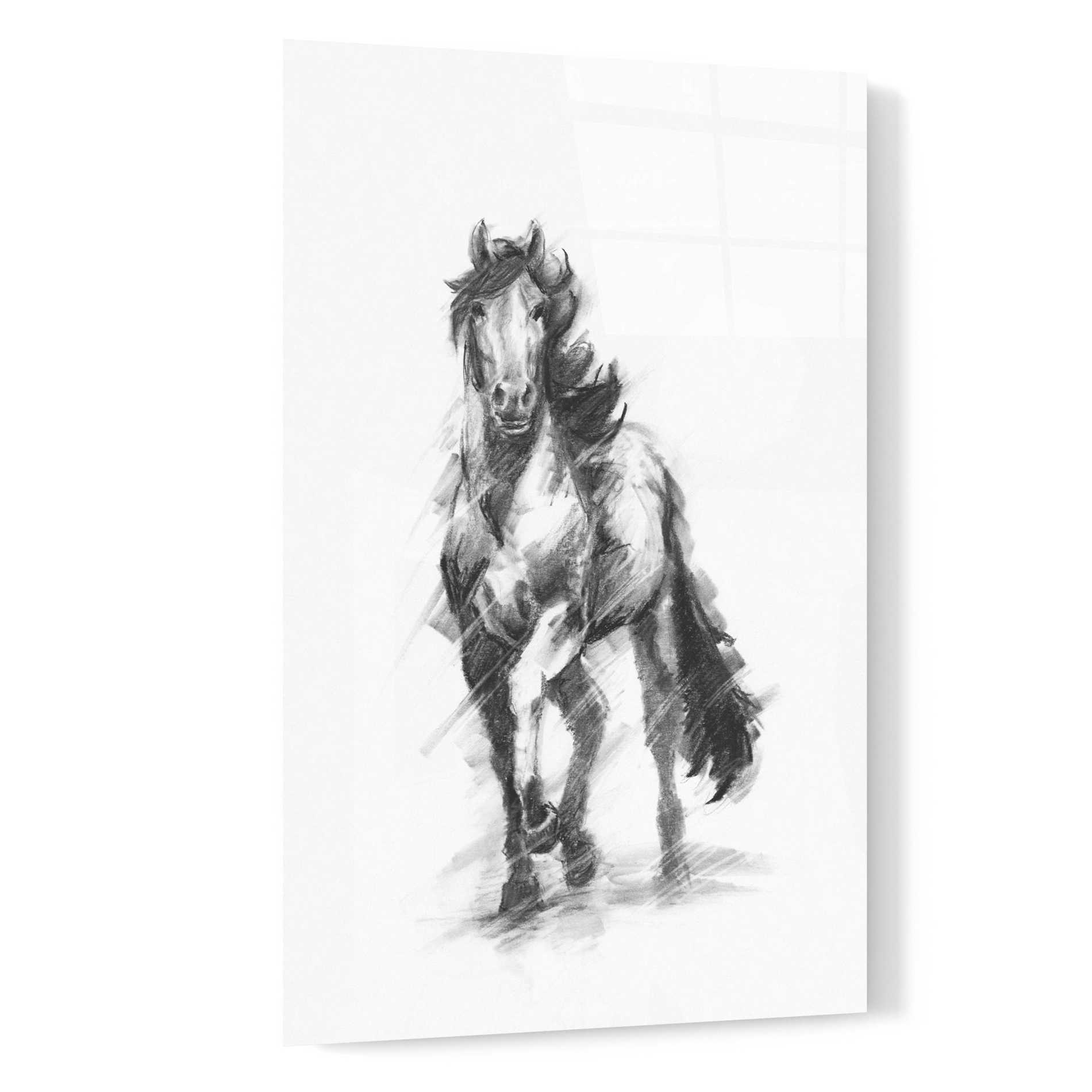 Epic Art 'Dynamic Equestrian I' by Ethan Harper, Acrylic Glass Wall Art,16x24
