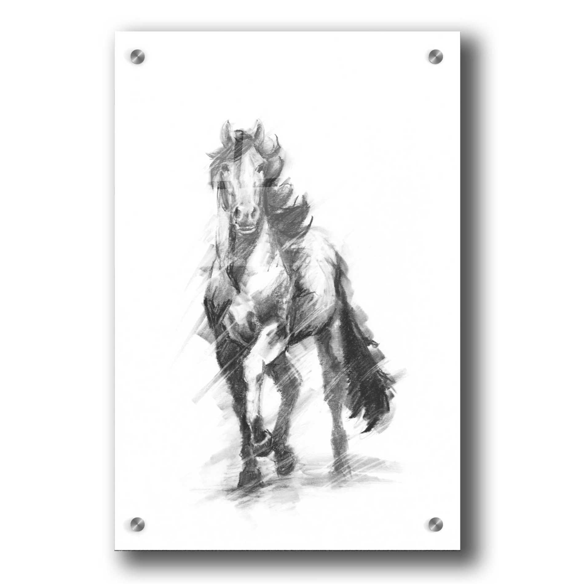 Epic Art 'Dynamic Equestrian I' by Ethan Harper, Acrylic Glass Wall Art,24x36