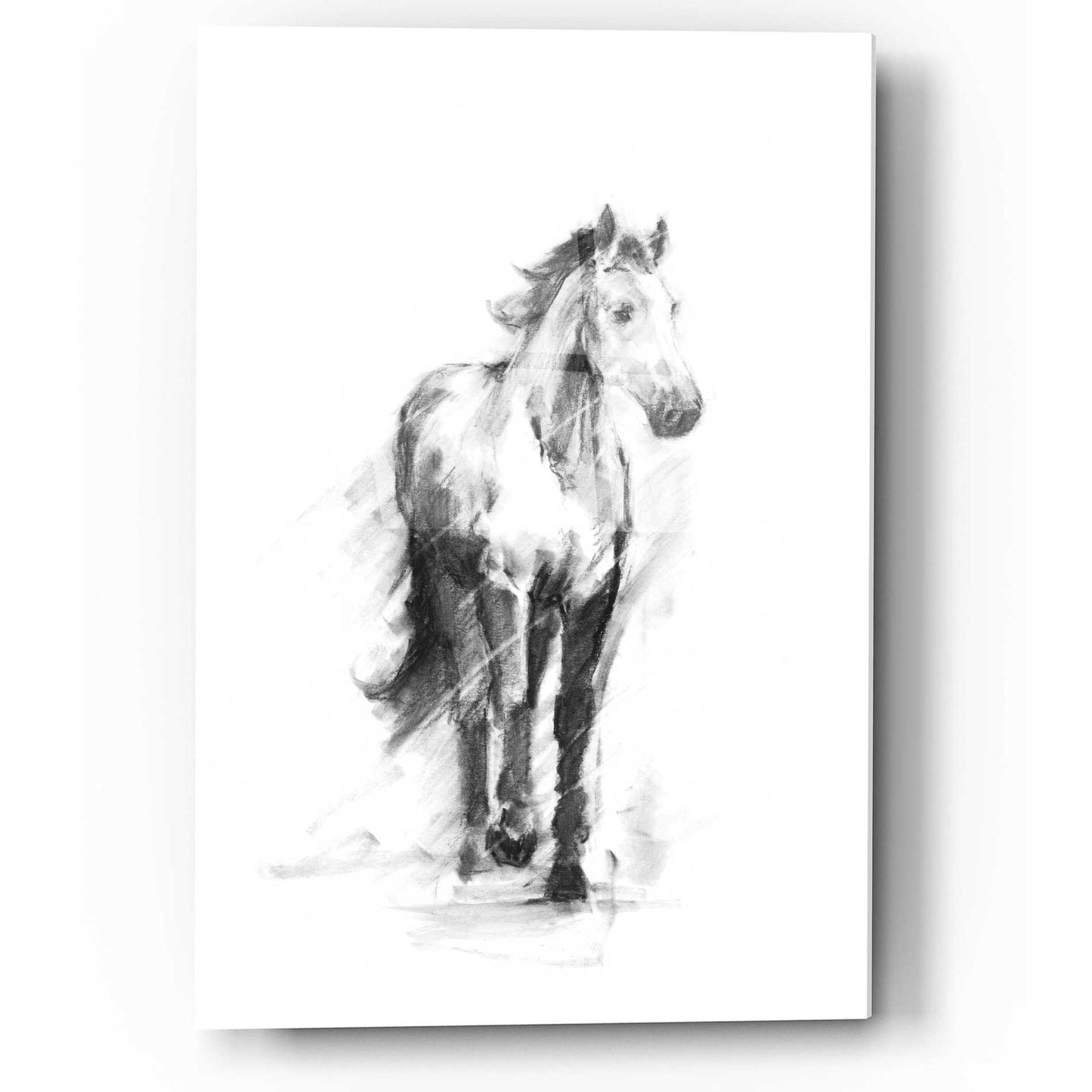 Epic Art 'Dynamic Equestrian II' by Ethan Harper, Acrylic Glass Wall Art,12x16