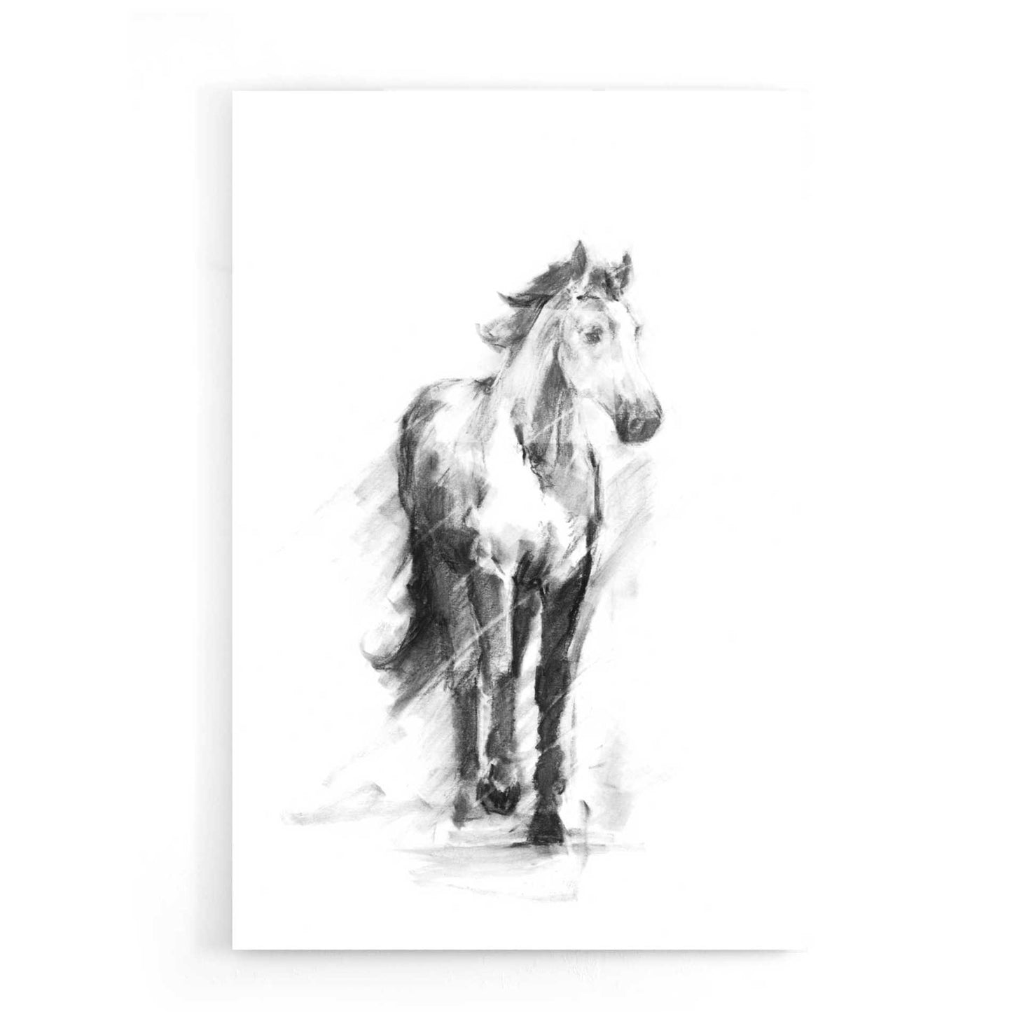 Epic Art 'Dynamic Equestrian II' by Ethan Harper, Acrylic Glass Wall Art,16x24