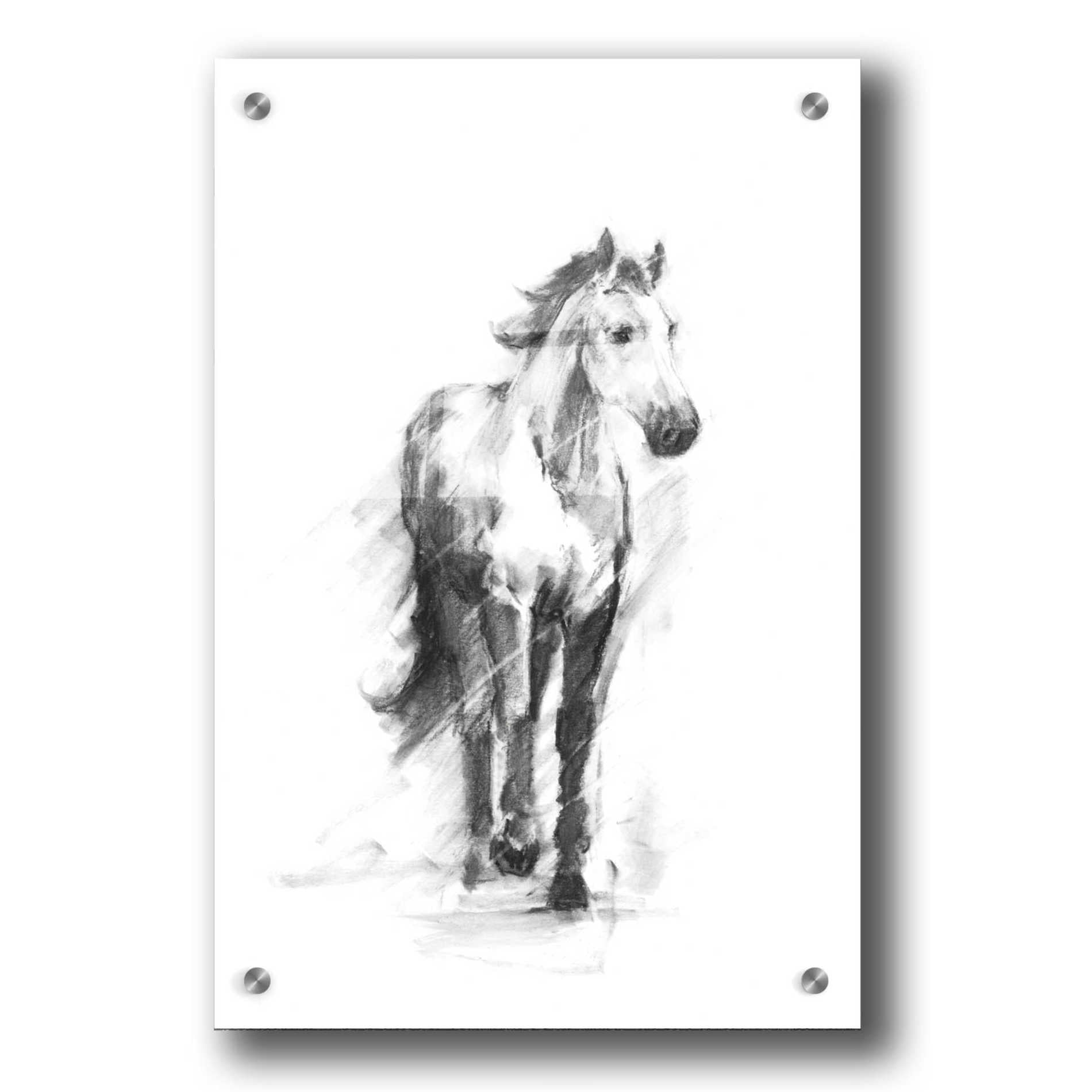 Epic Art 'Dynamic Equestrian II' by Ethan Harper, Acrylic Glass Wall Art,24x36