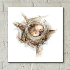 Epic Art 'Bird Nest Study I' by Ethan Harper, Acrylic Glass Wall Art,12x12