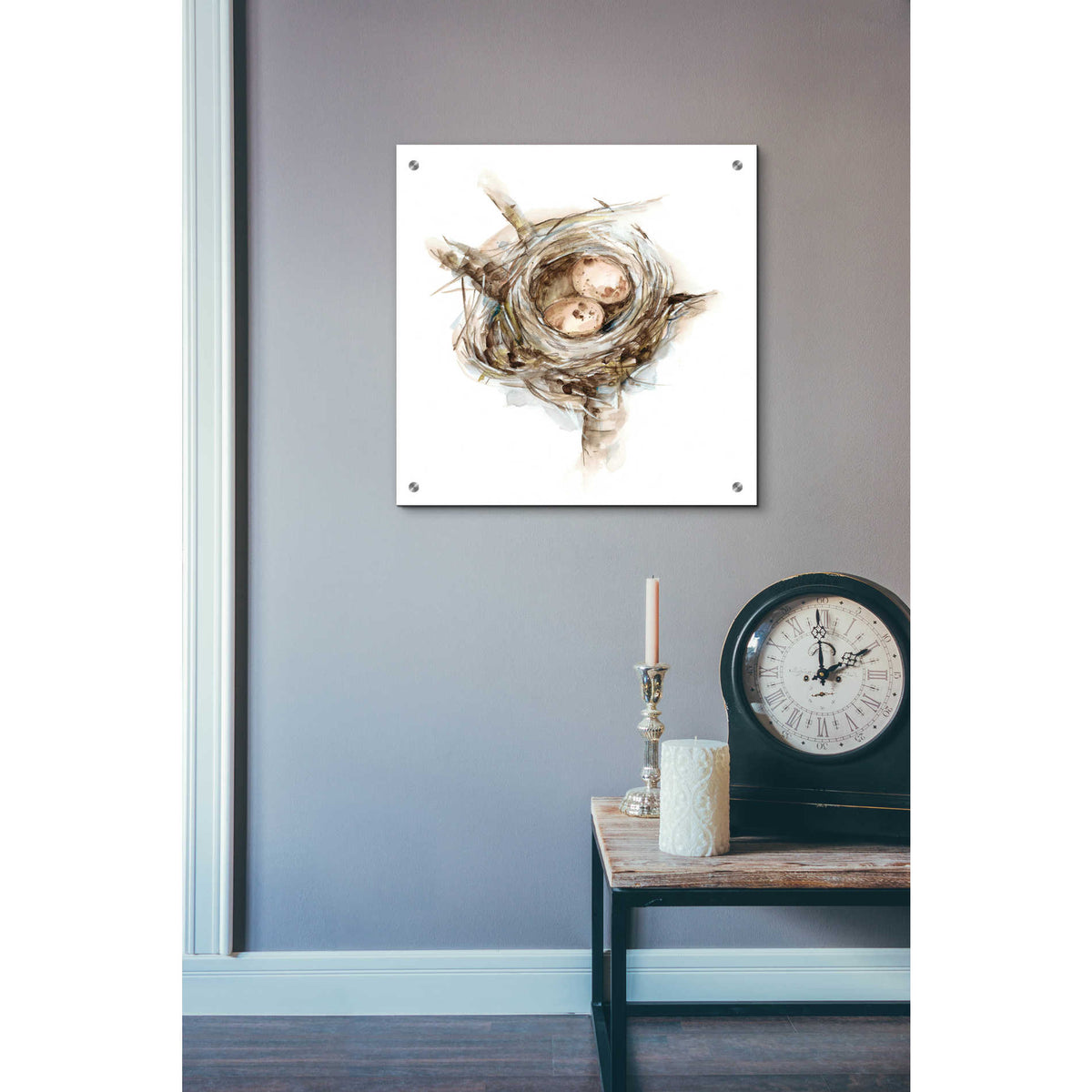 Epic Art 'Bird Nest Study I' by Ethan Harper, Acrylic Glass Wall Art,24x24