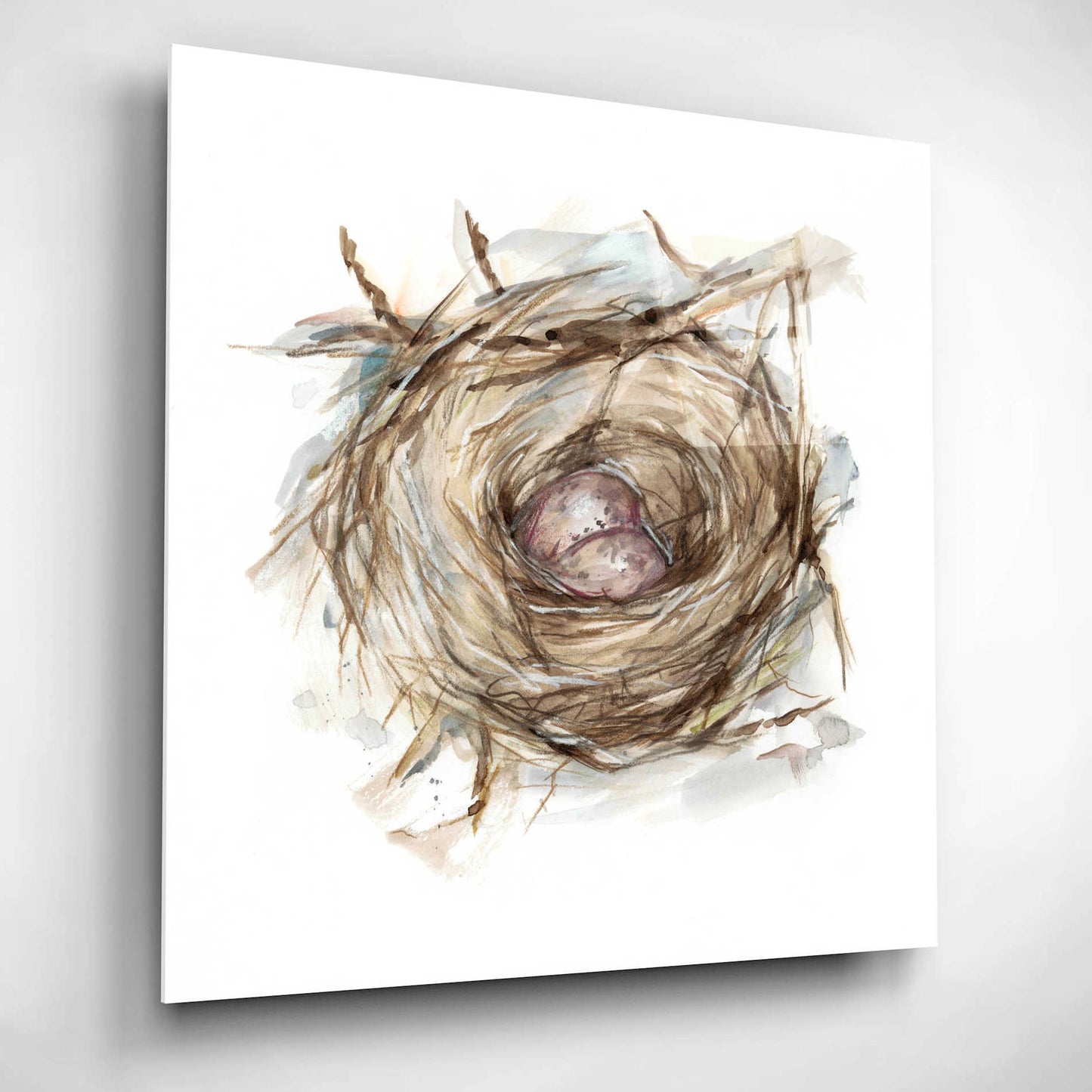 Epic Art 'Bird Nest Study IV' by Ethan Harper, Acrylic Glass Wall Art,12x12