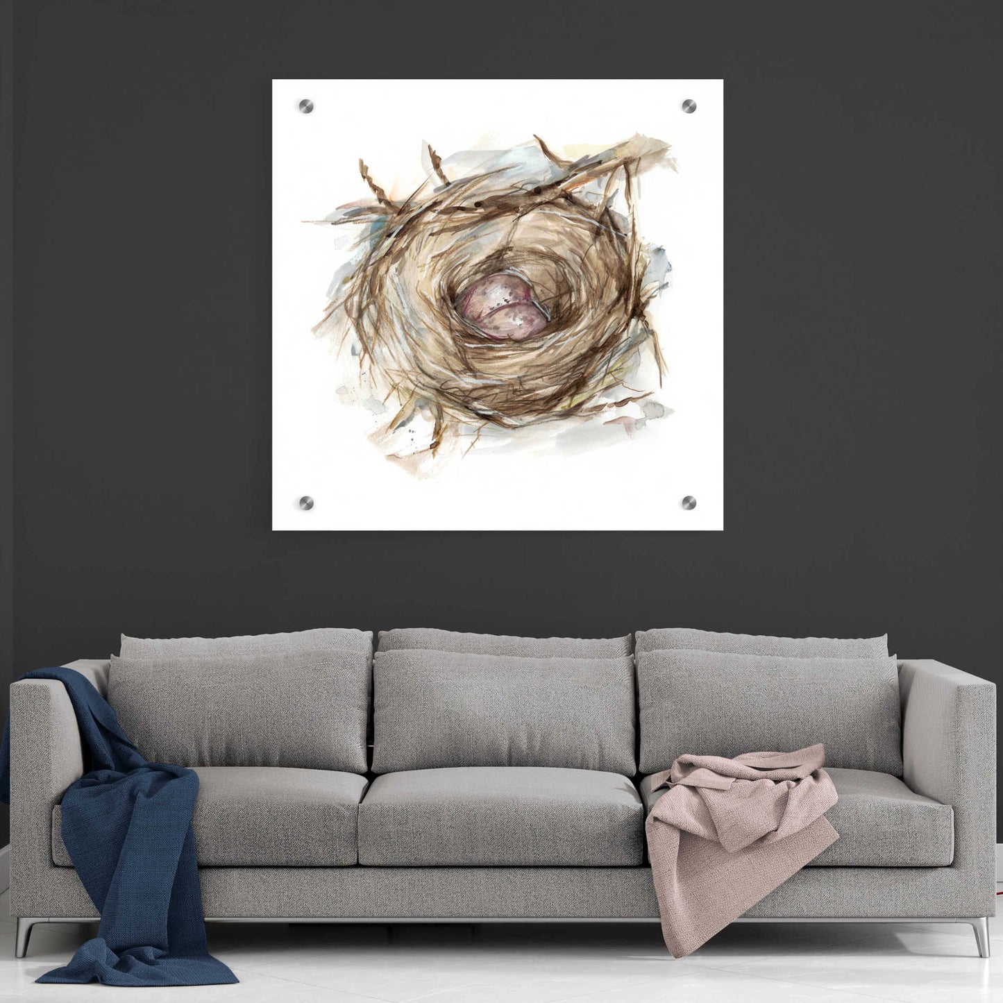 Epic Art 'Bird Nest Study IV' by Ethan Harper, Acrylic Glass Wall Art,36x36
