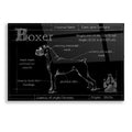 Epic Art 'Blueprint Boxer' by Ethan Harper, Acrylic Glass Wall Art