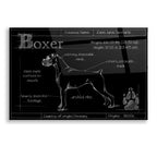 Epic Art 'Blueprint Boxer' by Ethan Harper, Acrylic Glass Wall Art