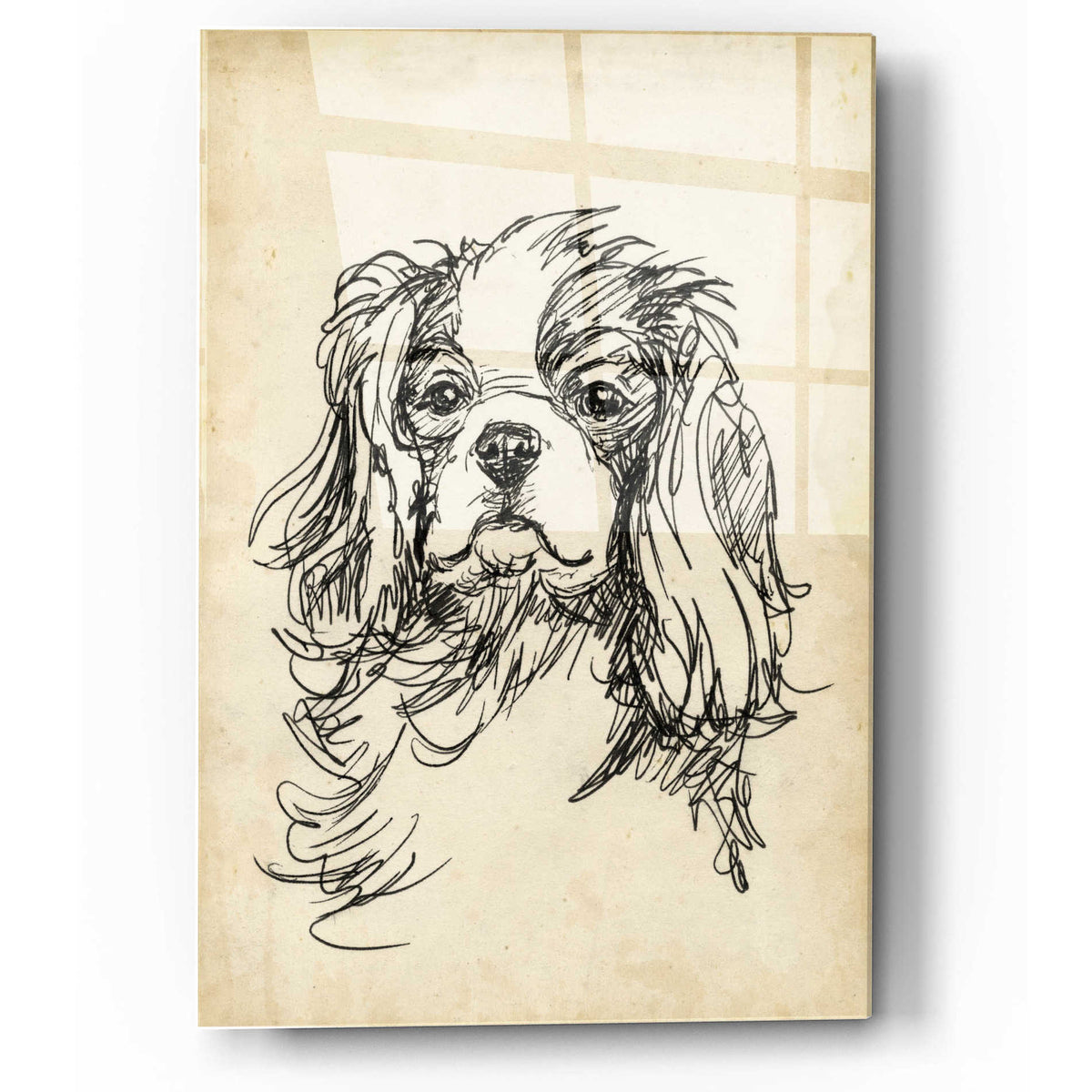 Epic Art 'Breed Studies II' by Ethan Harper, Acrylic Glass Wall Art