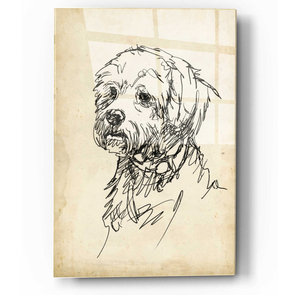 Epic Art 'Breed Studies III' by Ethan Harper, Acrylic Glass Wall Art