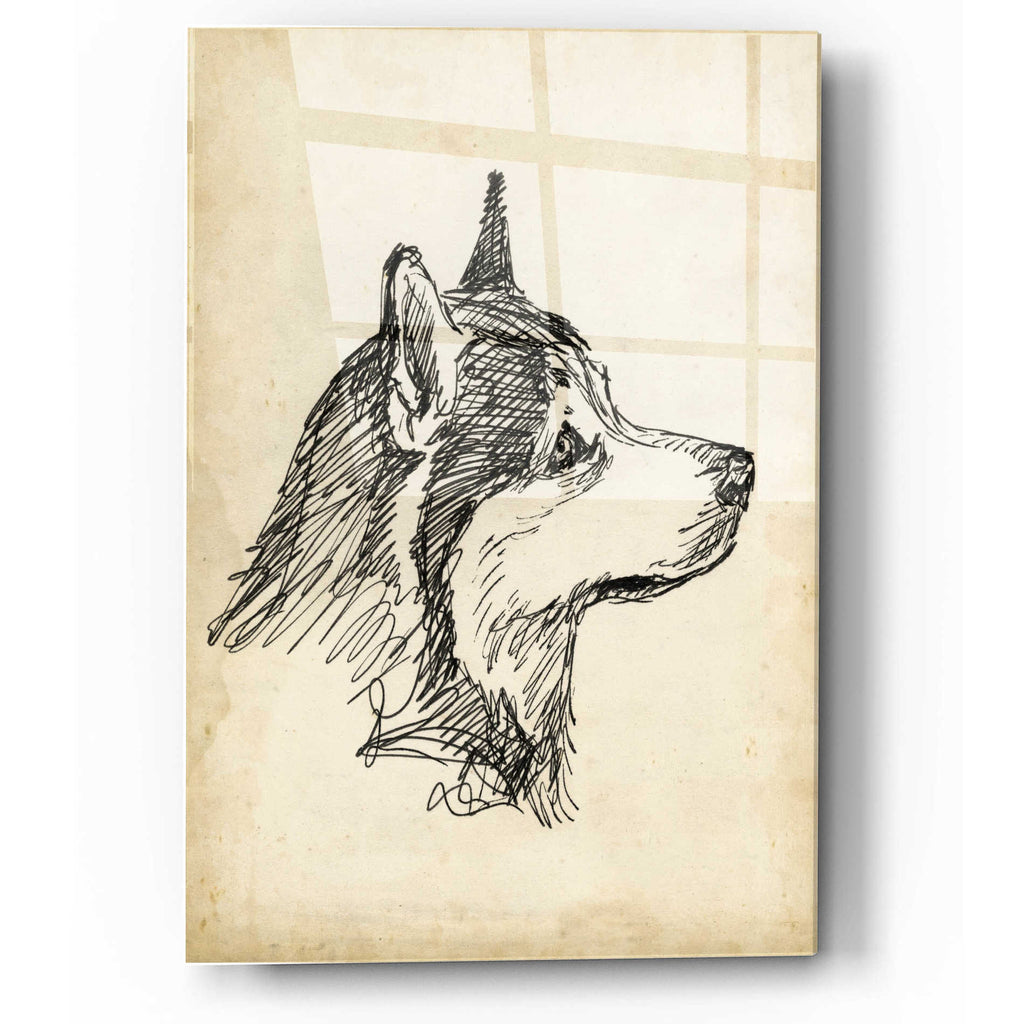 Epic Art 'Breed Studies X' by Ethan Harper, Acrylic Glass Wall Art