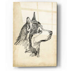 Epic Art 'Breed Studies X' by Ethan Harper, Acrylic Glass Wall Art