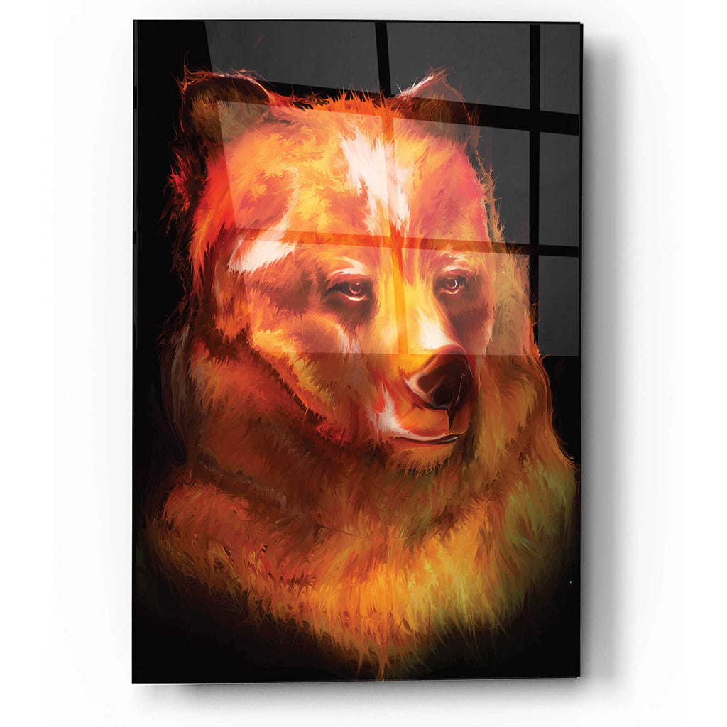 Epic Art 'Bjorn' by  Michael Stewart, Acrylic Glass Wall Art