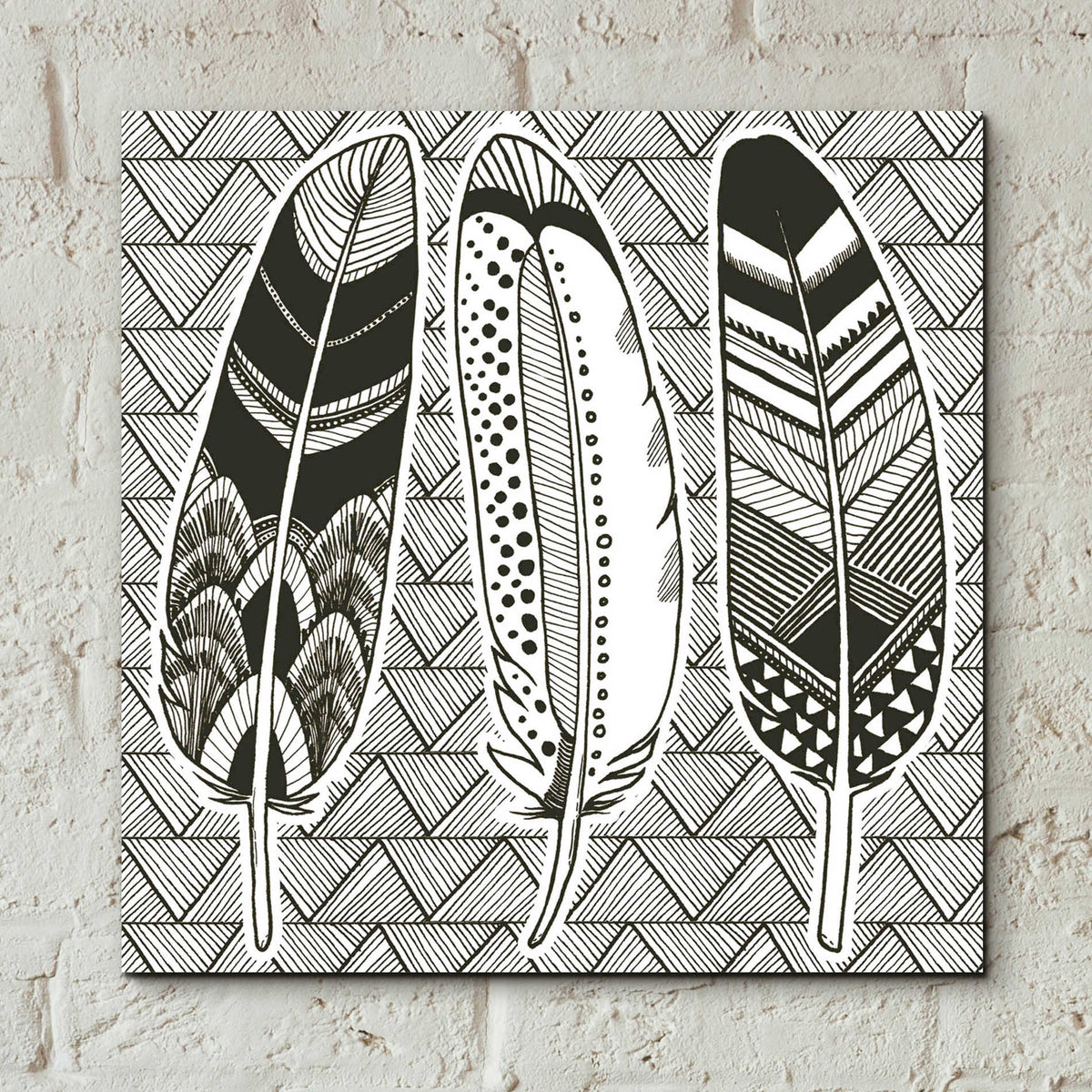 Epic Art 'Geo Feathers I Zentangle' by Sara Zieve Miller, Acrylic Glass Wall Art,12x12