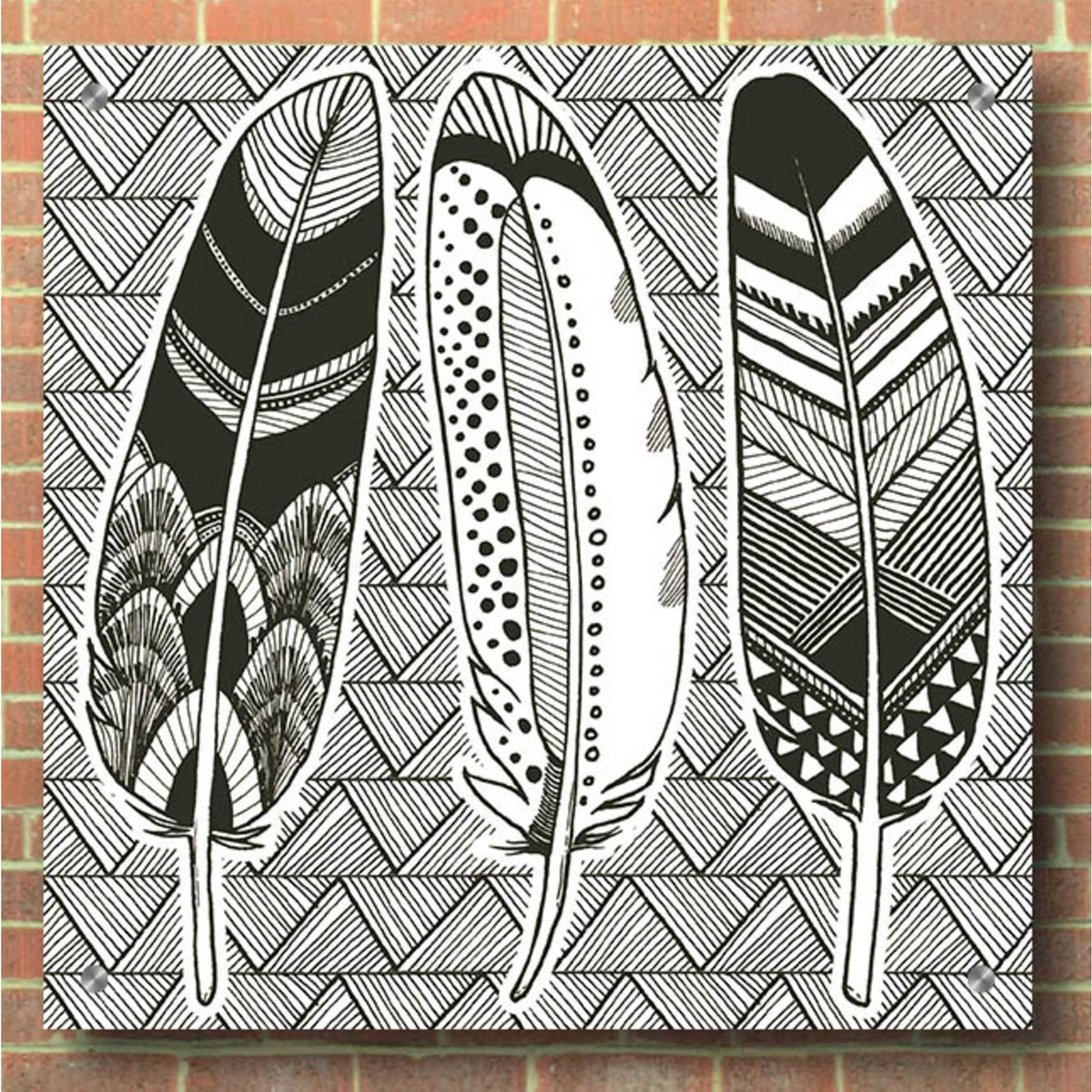 Epic Art 'Geo Feathers I Zentangle' by Sara Zieve Miller, Acrylic Glass Wall Art,36x36
