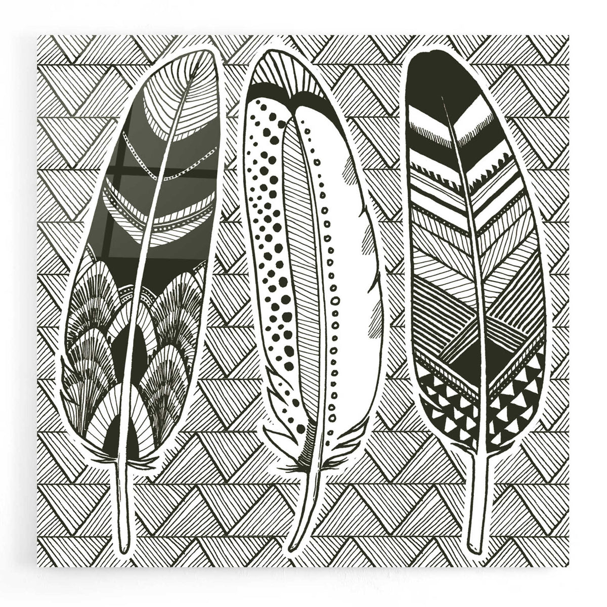 Epic Art 'Geo Feathers I Zentangle' by Sara Zieve Miller, Acrylic Glass Wall Art