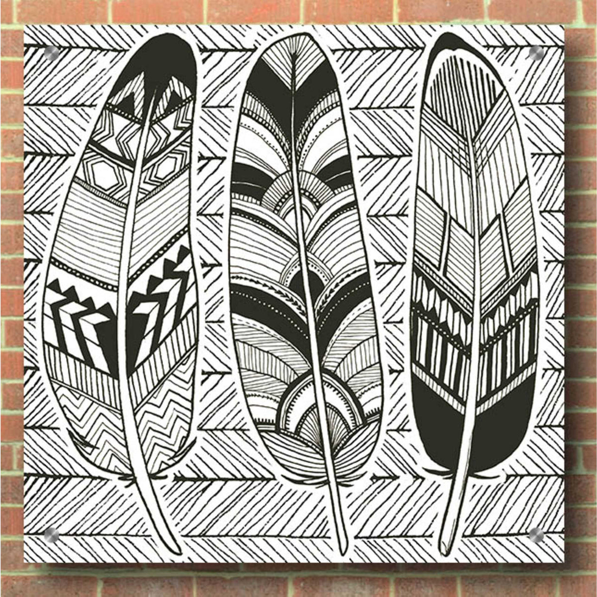Epic Art 'Geo Feathers II Zentangle' by Sara Zieve Miller, Acrylic Glass Wall Art,36x36