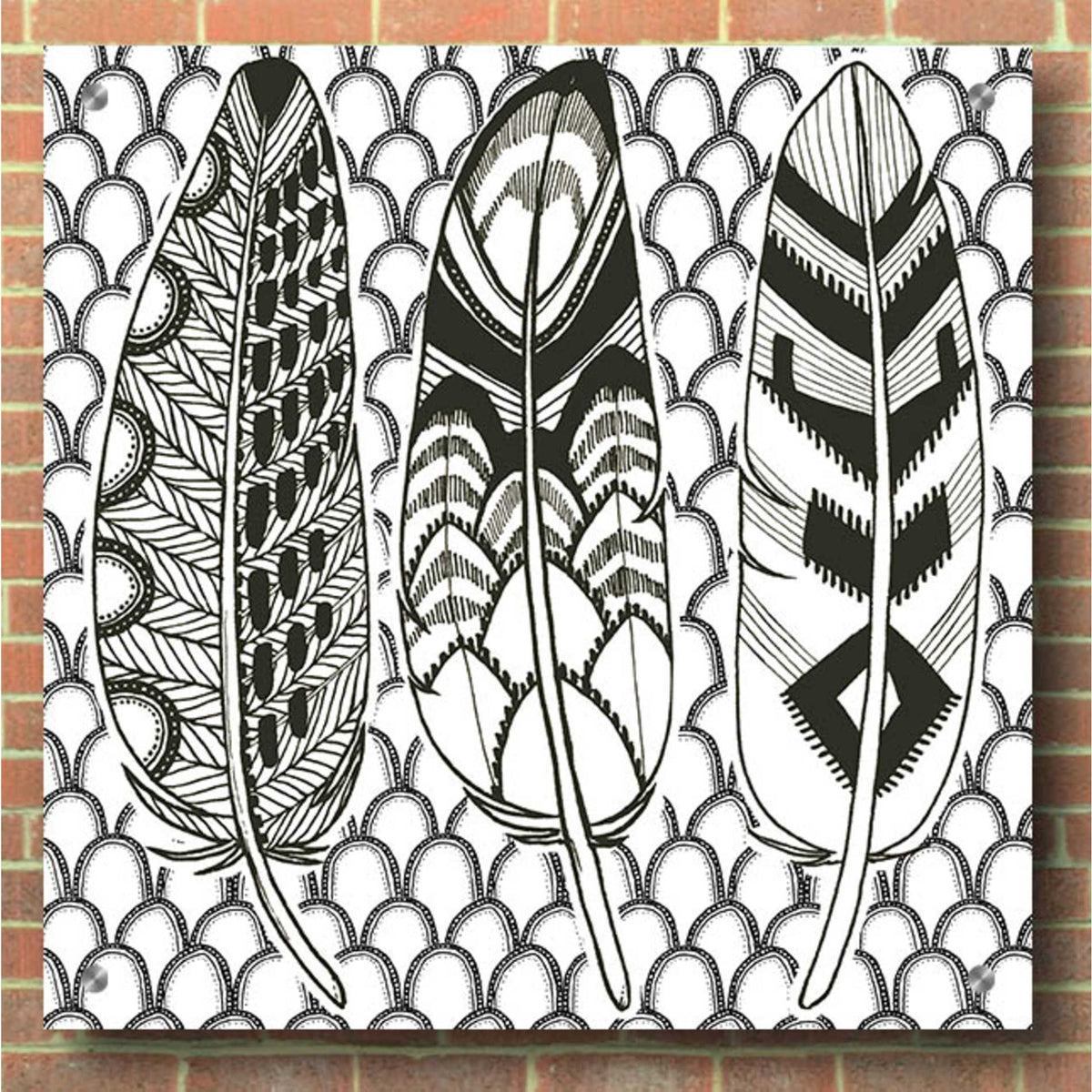 Epic Art 'Geo Feathers III Zentangle' by Sara Zieve Miller, Acrylic Glass Wall Art,36x36