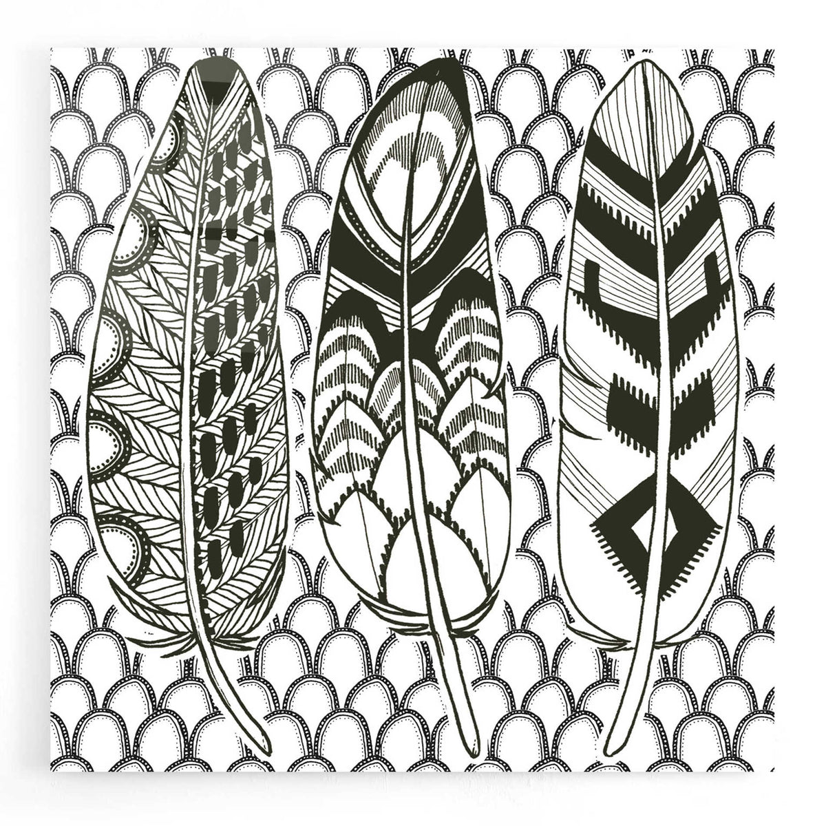 Epic Art 'Geo Feathers III Zentangle' by Sara Zieve Miller, Acrylic Glass Wall Art