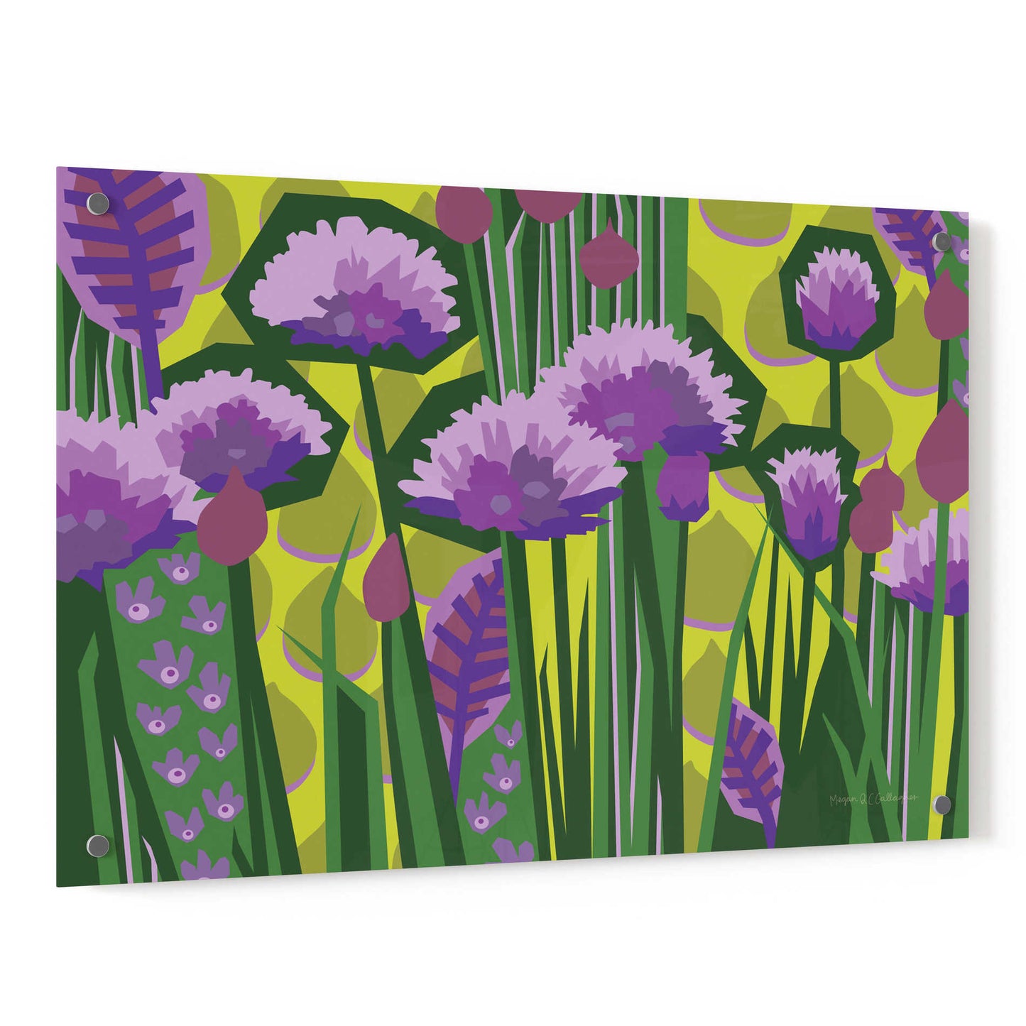 Epic Art 'Chives I' by Megan Gallagher, Acrylic Glass Wall Art,36x24