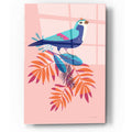 Epic Art 'Exotic Birds III' by Omar Escalante, Acrylic Glass Wall Art