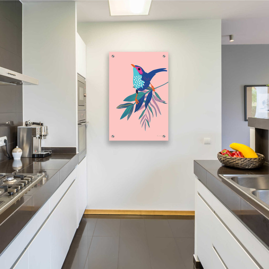 Epic Art 'Exotic Birds IV' by Omar Escalante, Acrylic Glass Wall Art,24x36