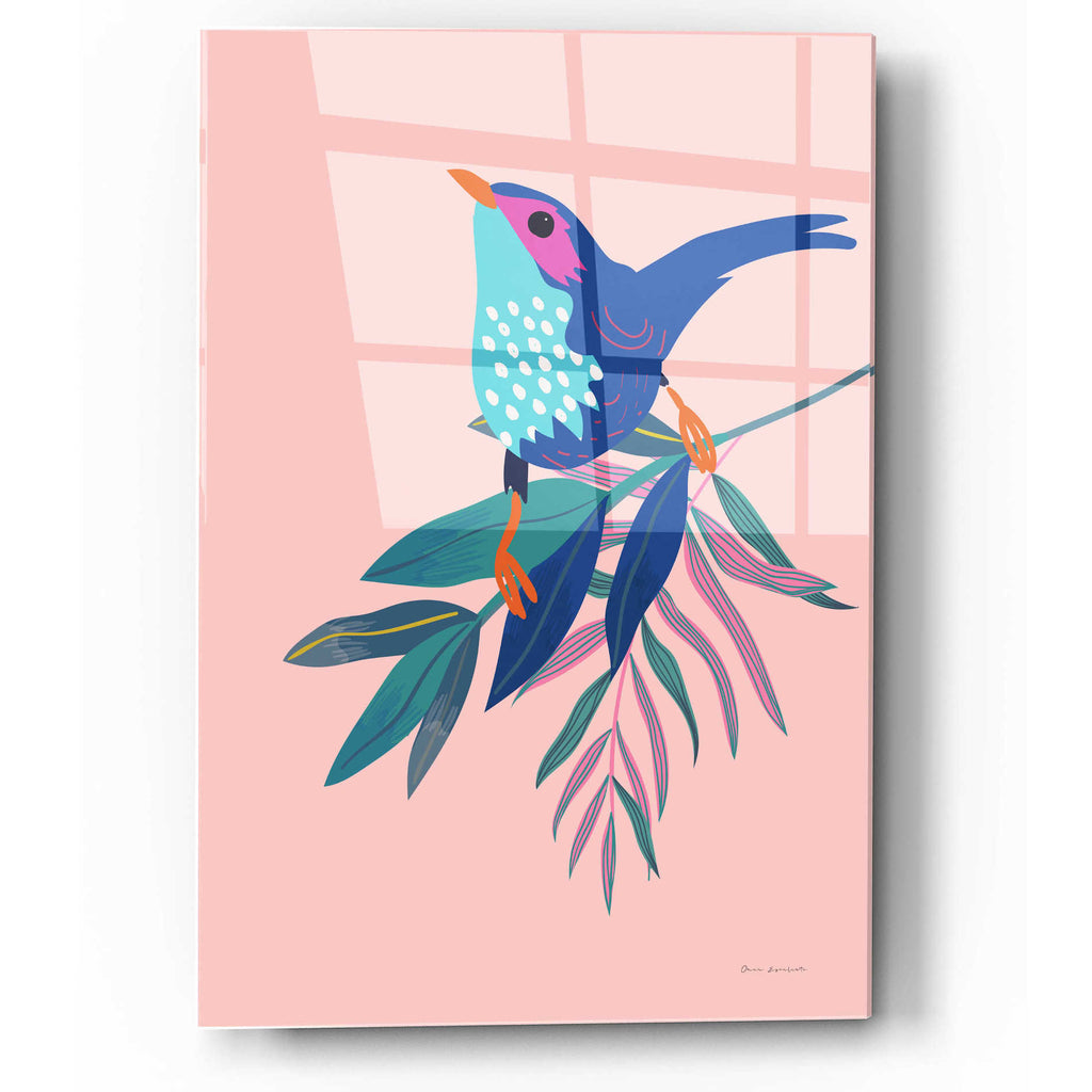 Epic Art 'Exotic Birds IV' by Omar Escalante, Acrylic Glass Wall Art