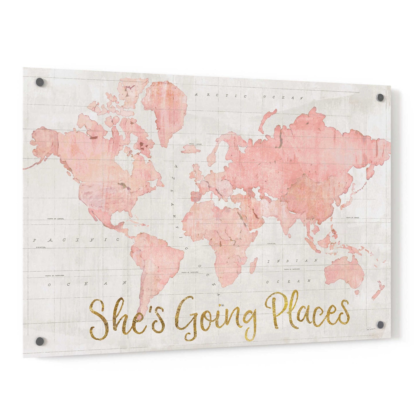 Epic Art 'Across the World Shes Going Places Pink' by Sue Schlabach, Acrylic Glass Wall Art,36x24