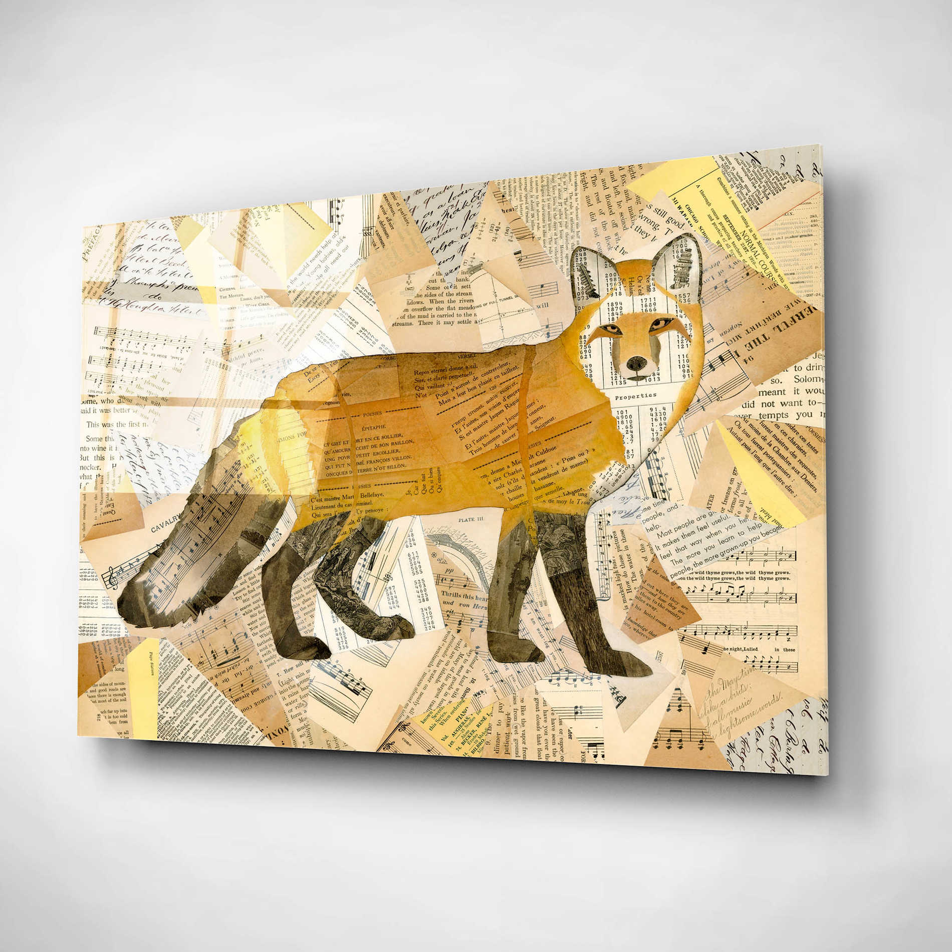 Epic Art 'Red Fox Collage I' by Nikki Galapon, Acrylic Glass Wall Art,16x12